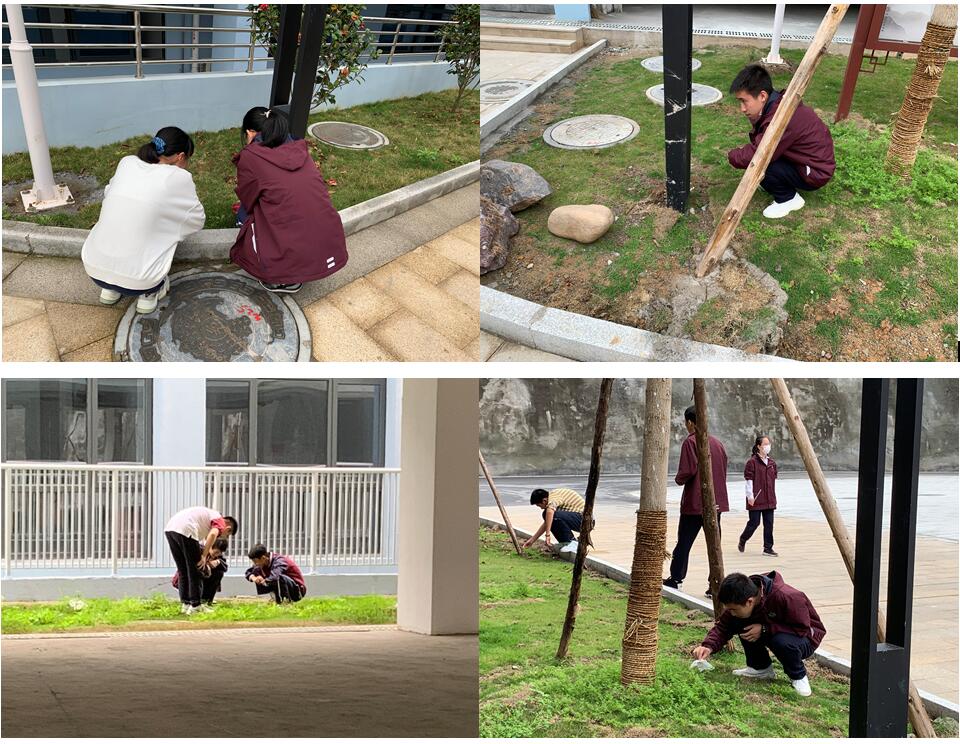 1618643449677621.jpg QQ截图20210417151021.jpg