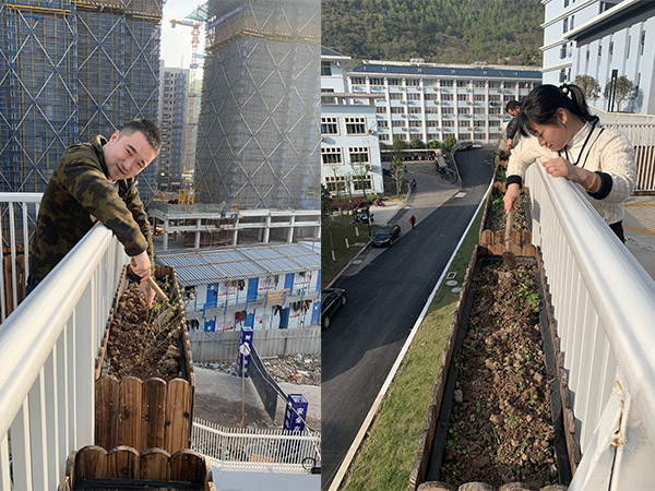 1618652433655158.jpg 1.jpg